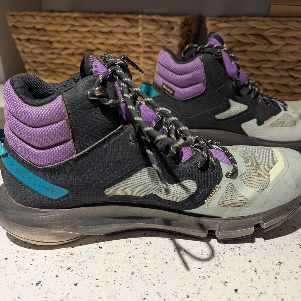 Salomon Men's Predict Gore-Tex Hiking Shoes